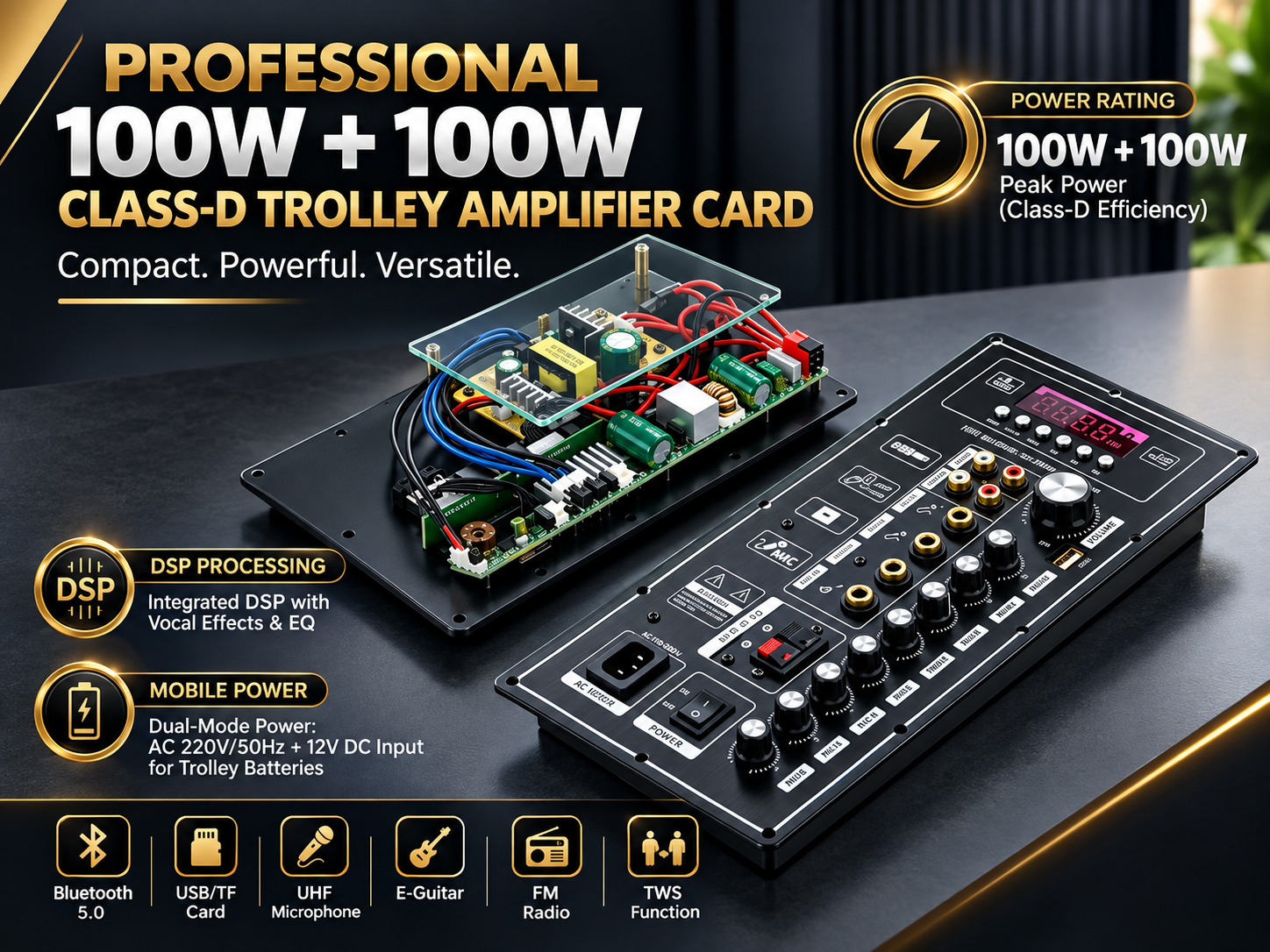 Hi-Fi Outdoor Mobile Speaker Amplifier Board 100W + 100W Class-D